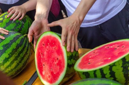 俄亥俄大学吃瓜,揭秘校园生活趣闻