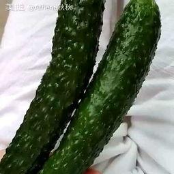 吃货小浓瓜,探寻美食世界的奇妙之旅