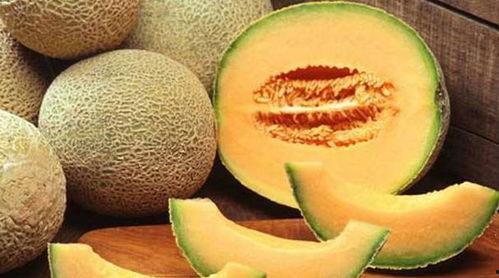 作死吃哈密瓜,作死吃哈密瓜的惊险之旅