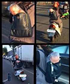 做个吃瓜观众吧