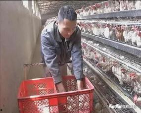 魏县吃瓜事件邯郸