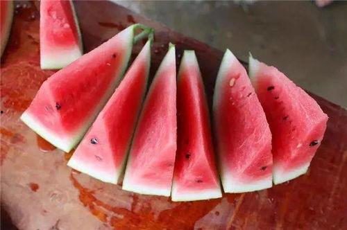 长沙公路吃瓜,一场别开生面的“吃瓜”盛宴