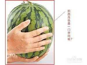 悄悄吃瓜小说,揭秘悄悄吃瓜背后的秘密世界